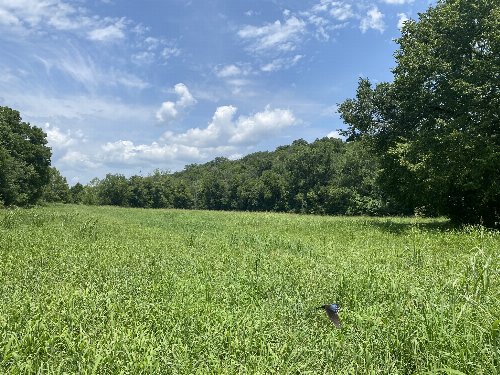 Smith Fork Rd, Liberty, TN  37095