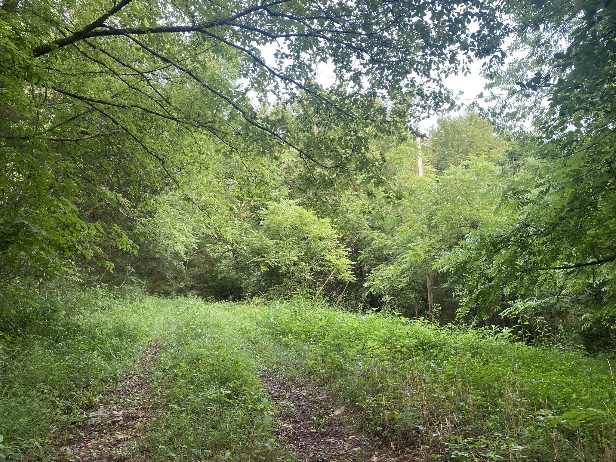 Smith Fork Rd, Liberty, TN  37095