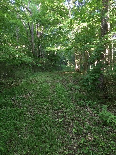 Gravely Hill Rd, Bethpage, TN  37022