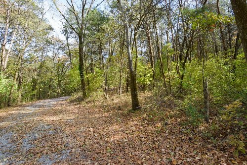 Hilton Lane, Castalian Springs, TN  37031