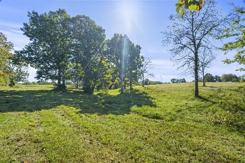 6816 Bethel Rd, Greenbrier, TN  37073