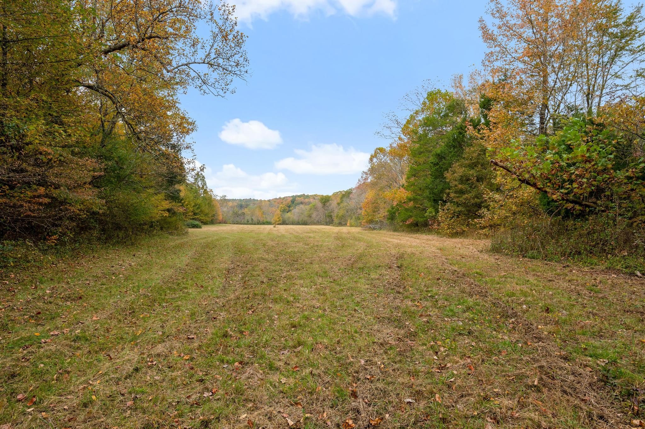 2070 Yellow Creek Rd, Dickson, TN  37055