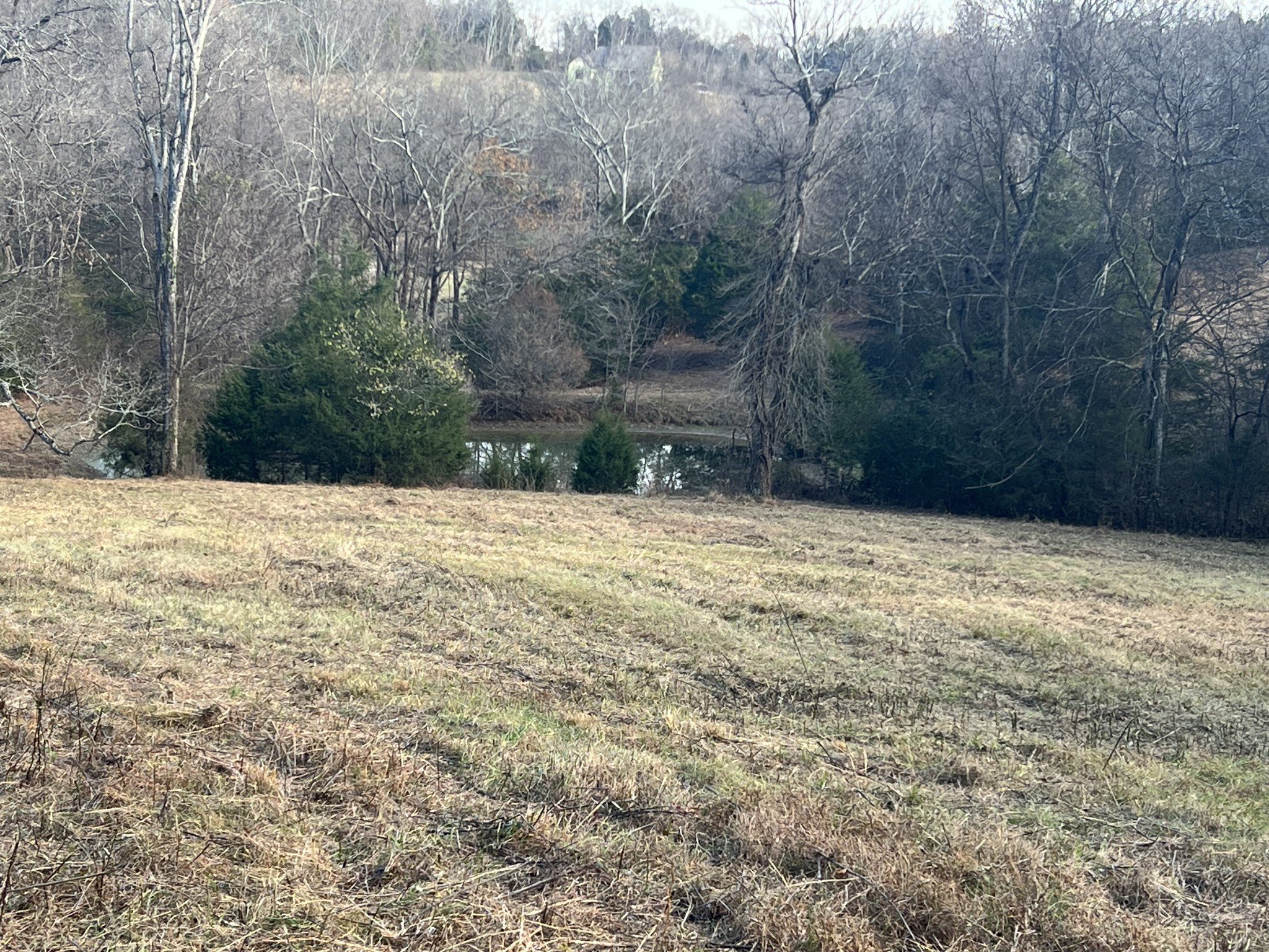 Grant Rd, Gordonsville, TN  38563