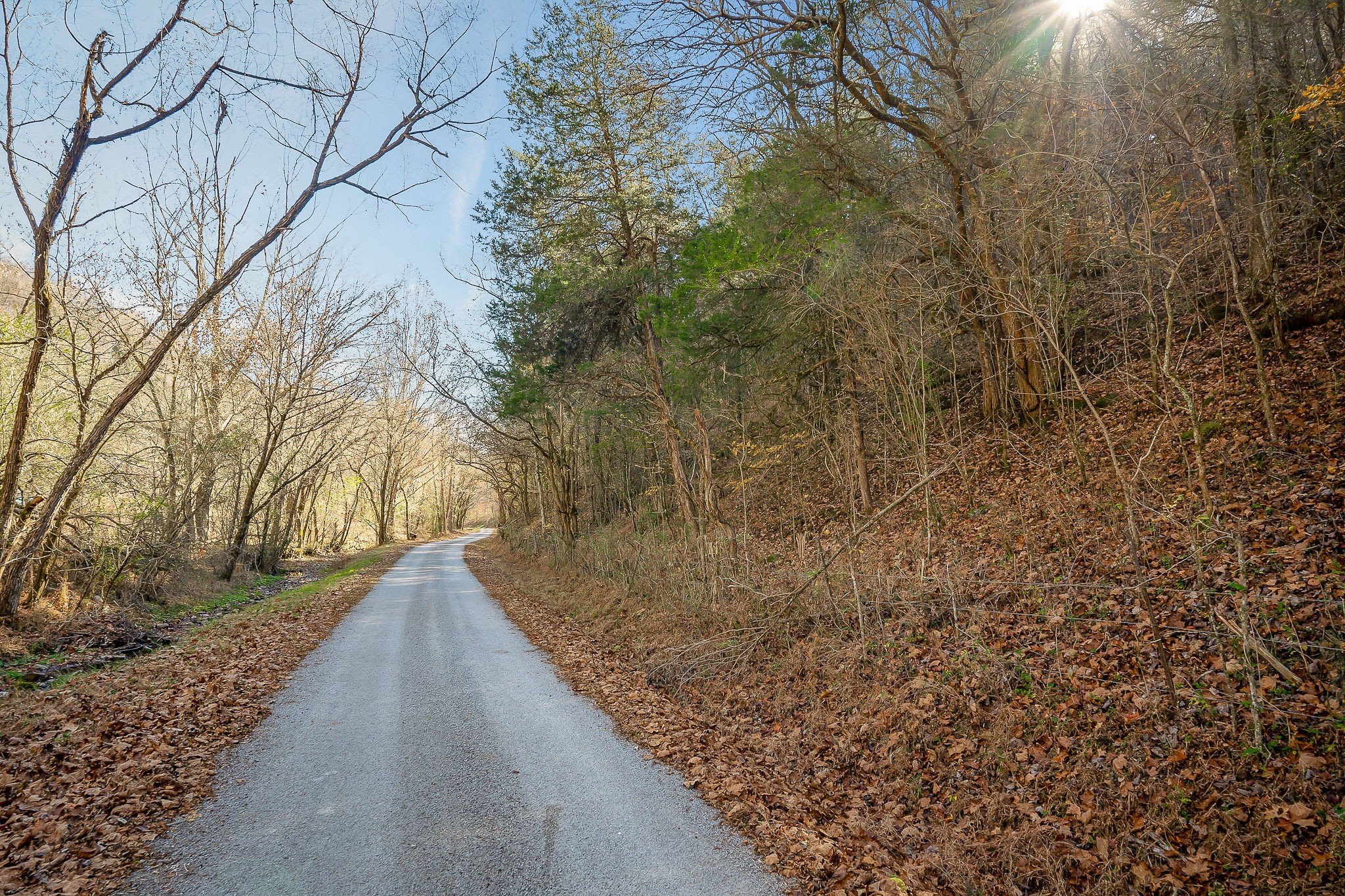 Doe Creek LN, Gainesboro, TN  38562