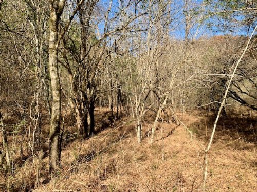 Doe Creek LN, Gainesboro, TN  38562