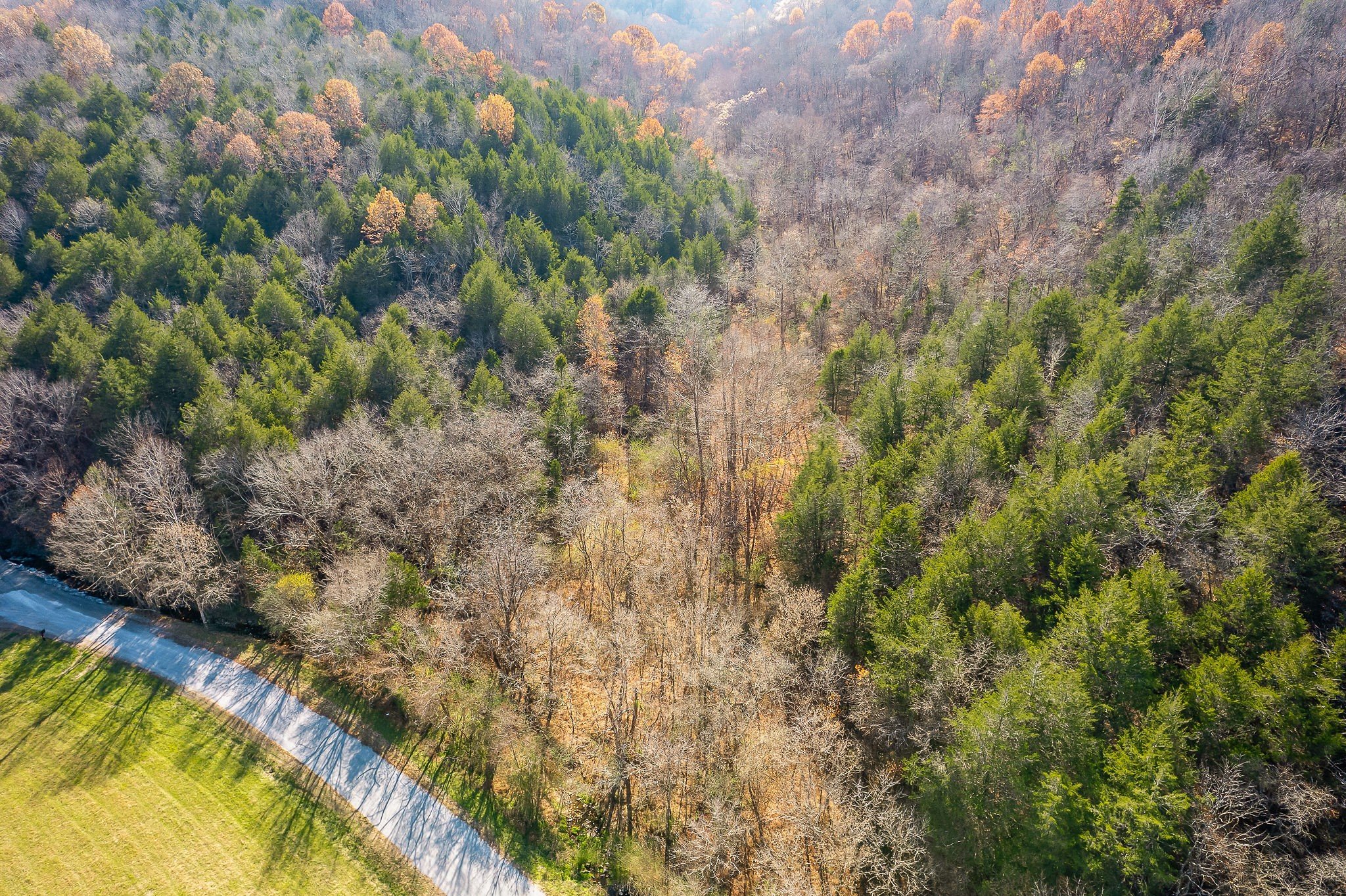 Doe Creek LN, Gainesboro, TN  38562