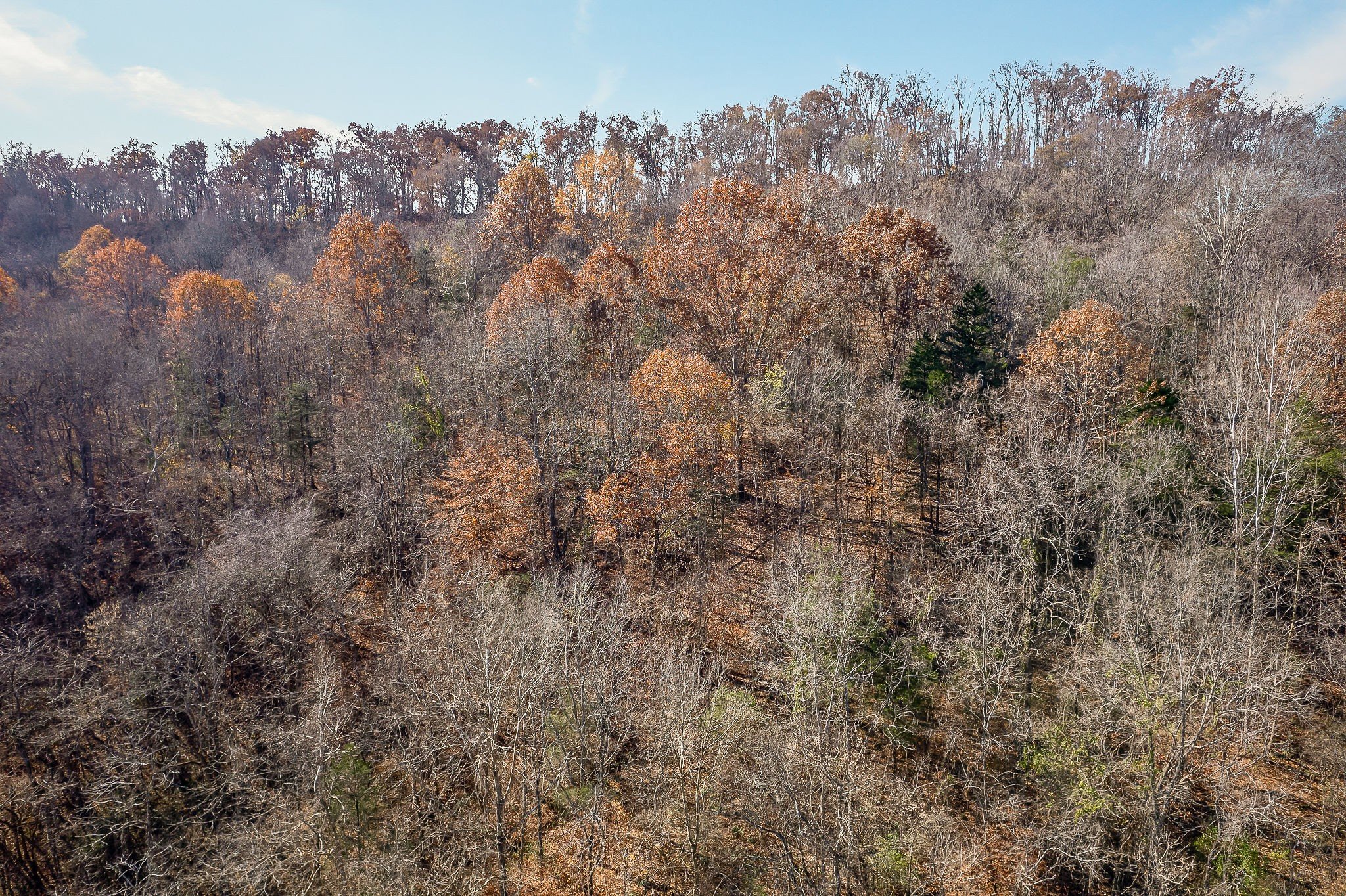 Doe Creek LN, Gainesboro, TN  38562