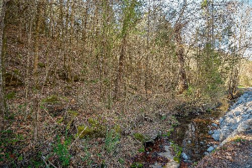 Doe Creek LN, Gainesboro, TN  38562