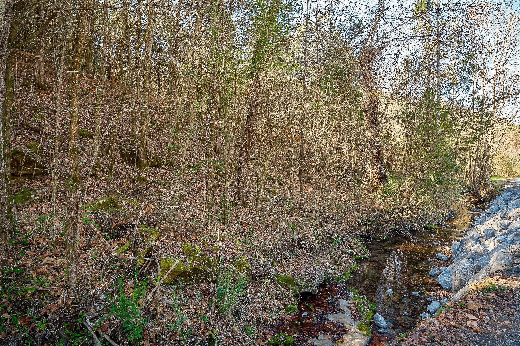 Doe Creek LN, Gainesboro, TN  38562