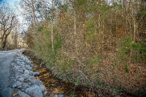 Doe Creek LN, Gainesboro, TN  38562