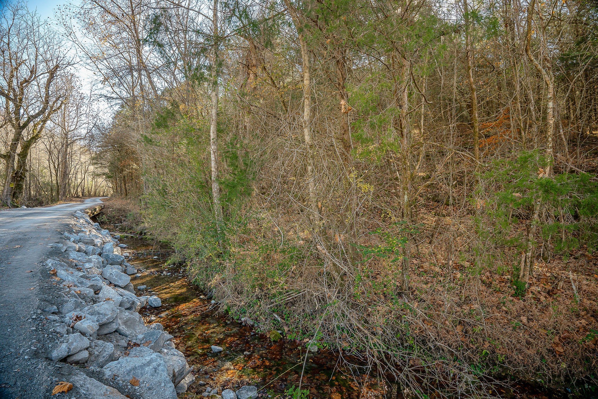 Doe Creek LN, Gainesboro, TN  38562