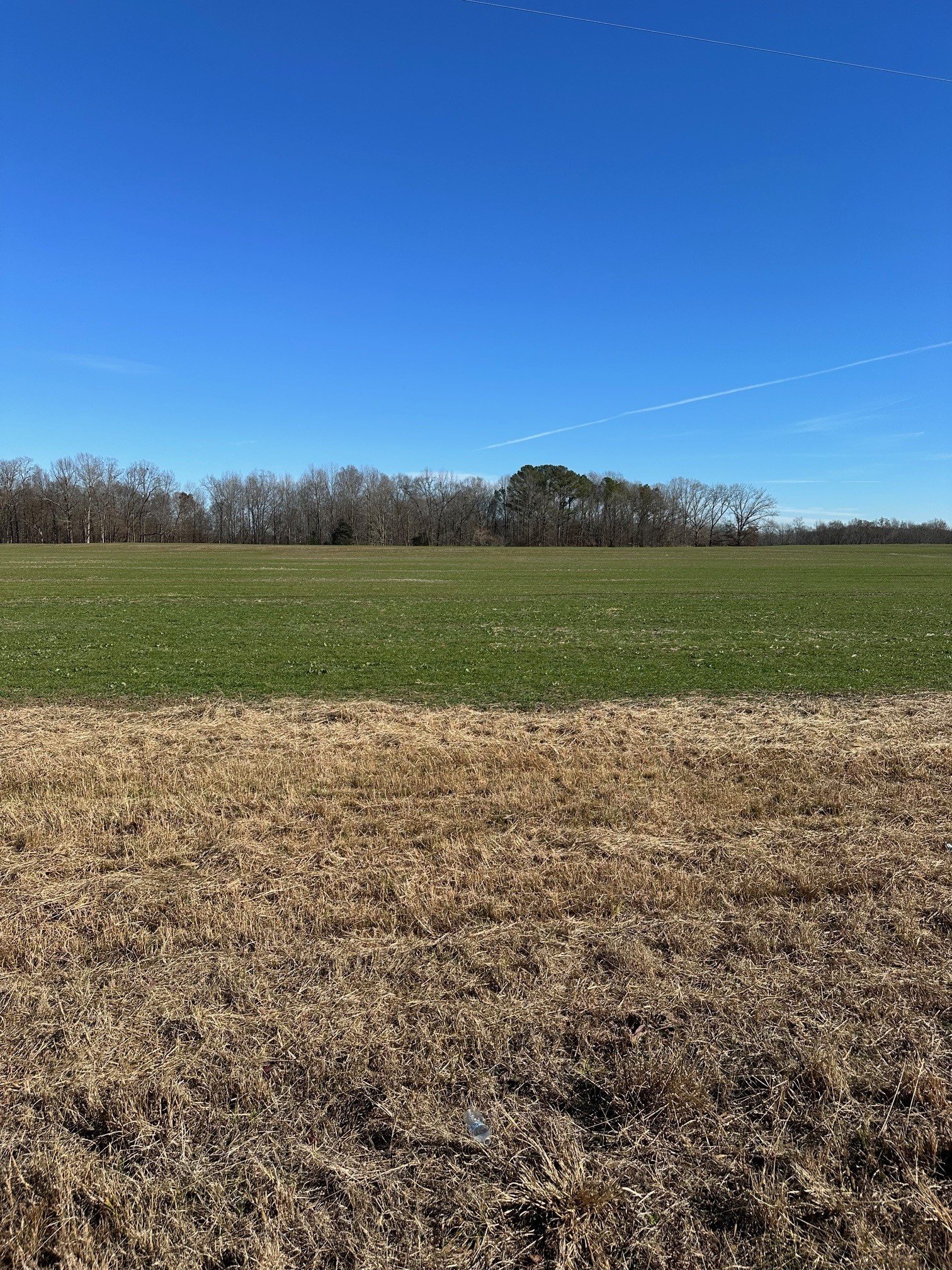 Salem Road, Minor Hill, TN  38473