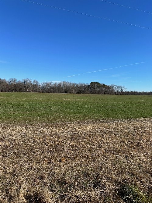 Salem Road, Minor Hill, TN  38473