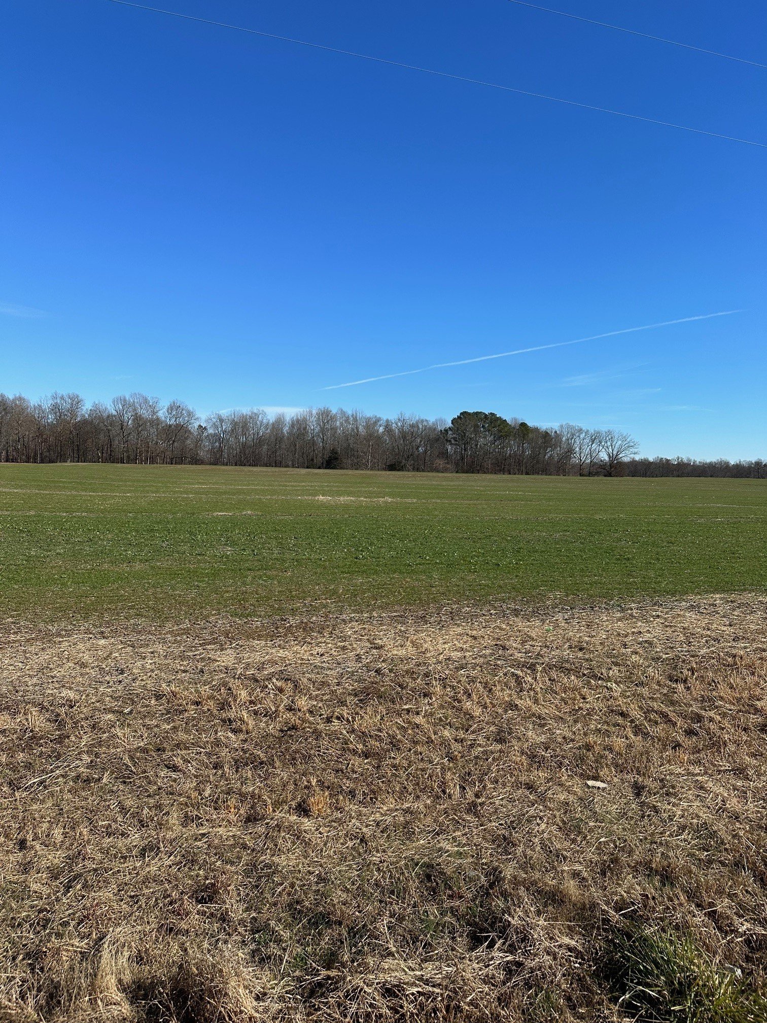 Salem Road, Minor Hill, TN  38473