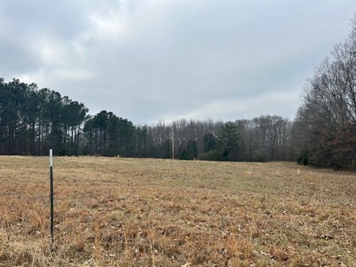 Matheny Grove Rd, Palmersville, TN  38241