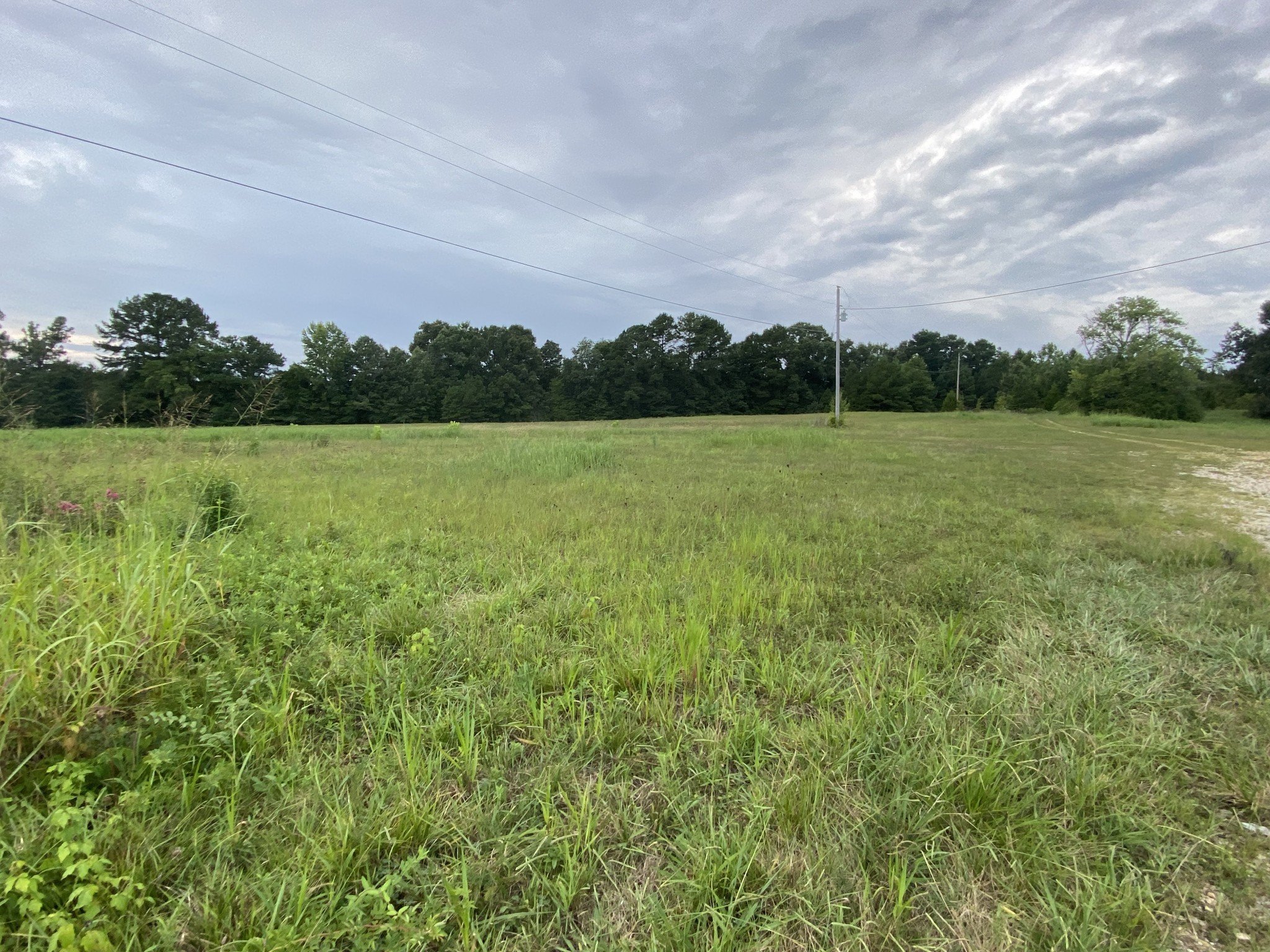 2948 E Wood St – Lot 2, Paris, TN  38242