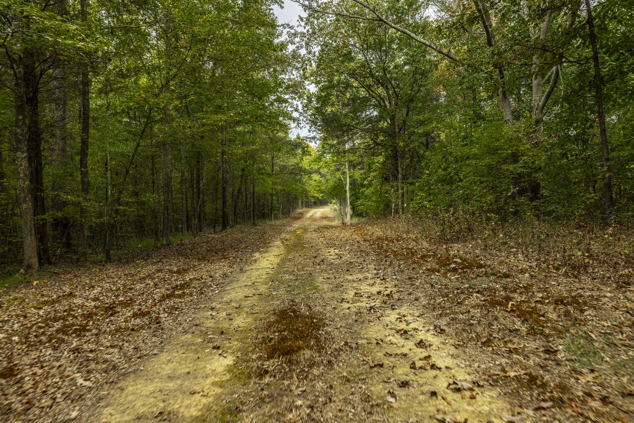 Cairo Bend Road, Lebanon, TN  37087