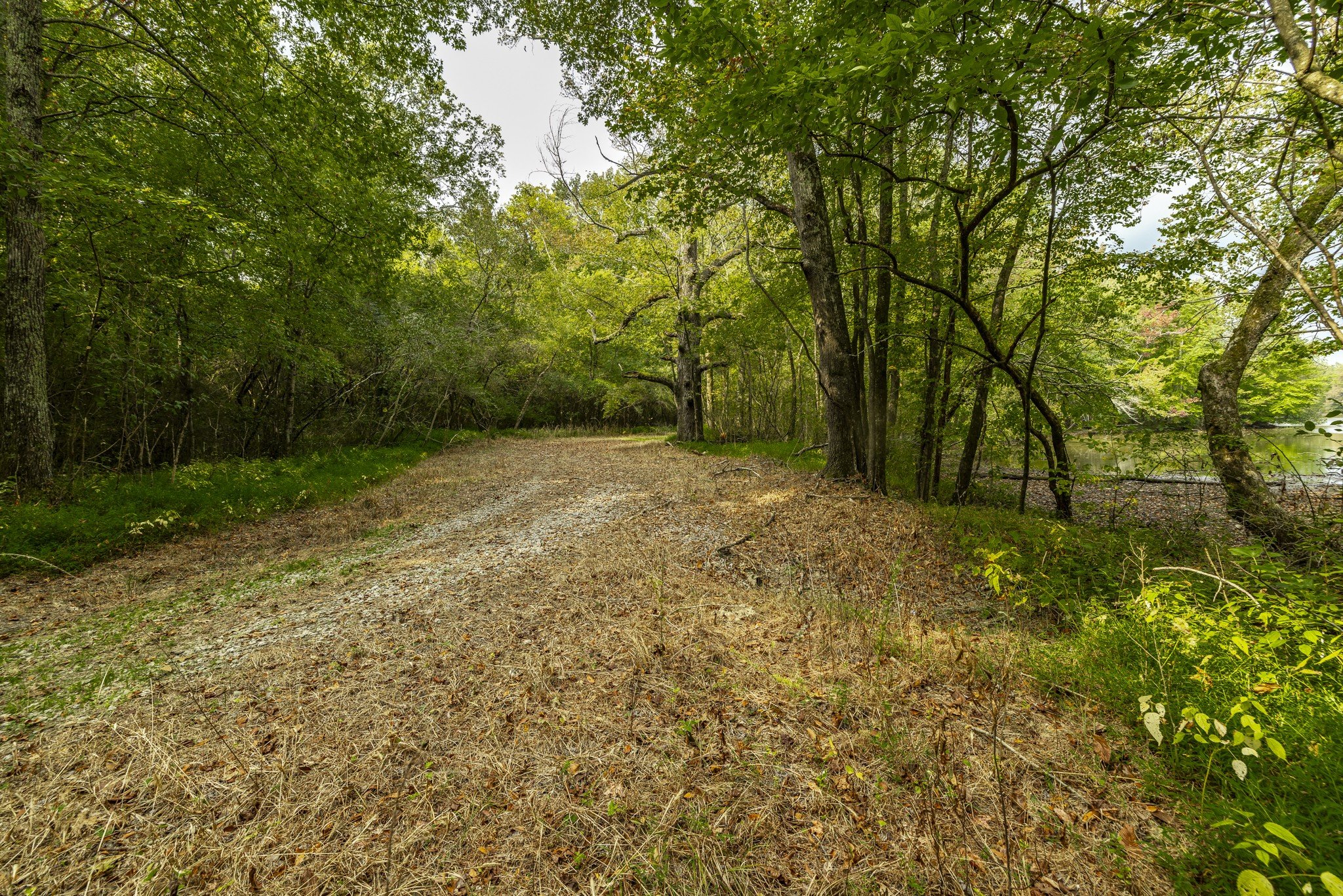 Cairo Bend Road, Lebanon, TN  37087