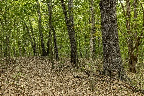 Cairo Bend Road, Lebanon, TN  37087