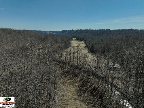 Flag Springs Rd, Lynnville, TN  38472