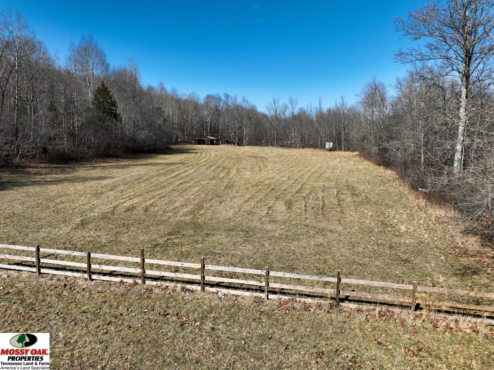 Flag Springs Rd, Lynnville, TN  38472