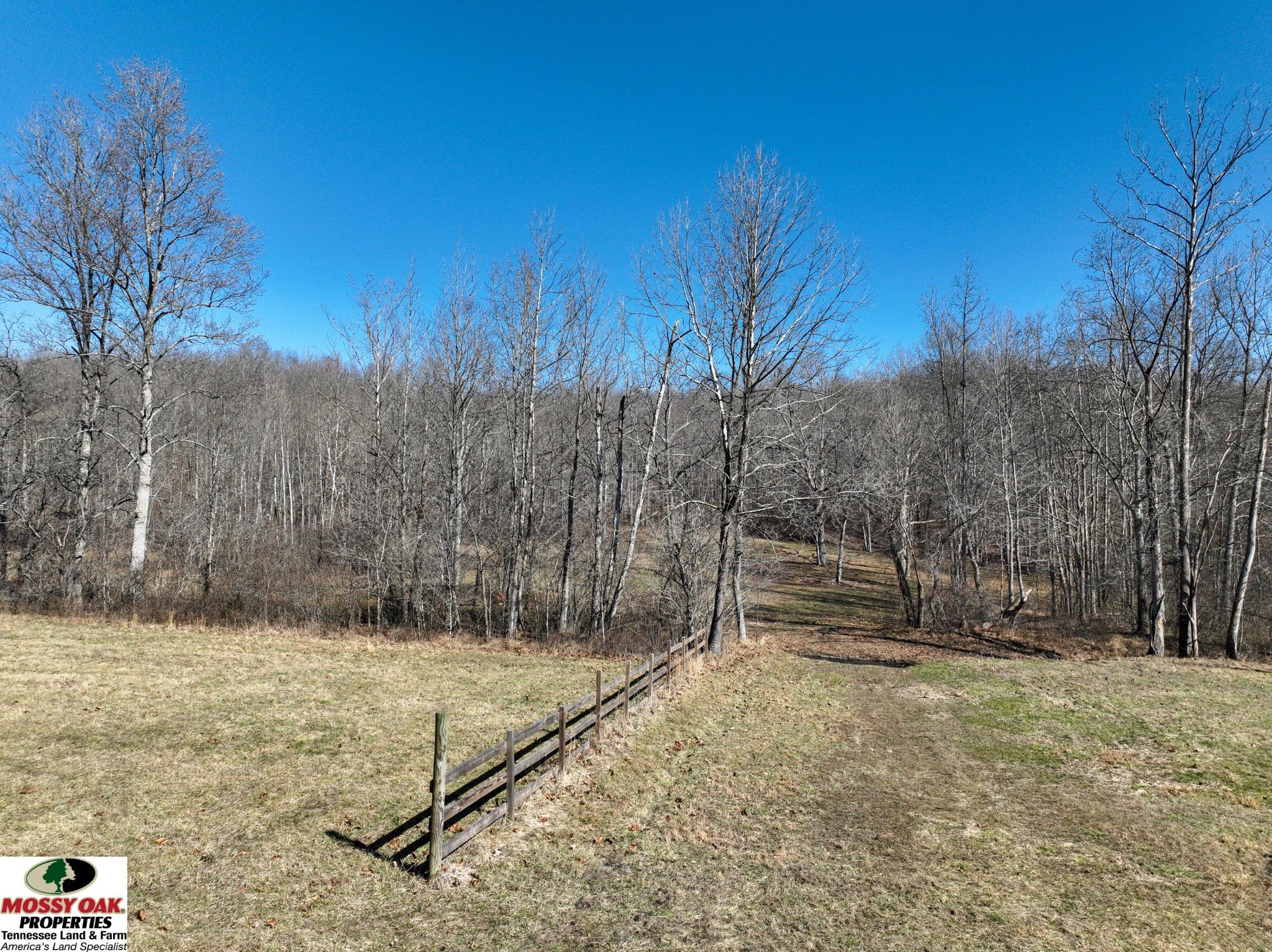 Flag Springs Rd, Lynnville, TN  38472