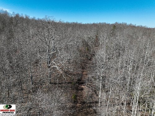 Flag Springs Rd, Lynnville, TN  38472