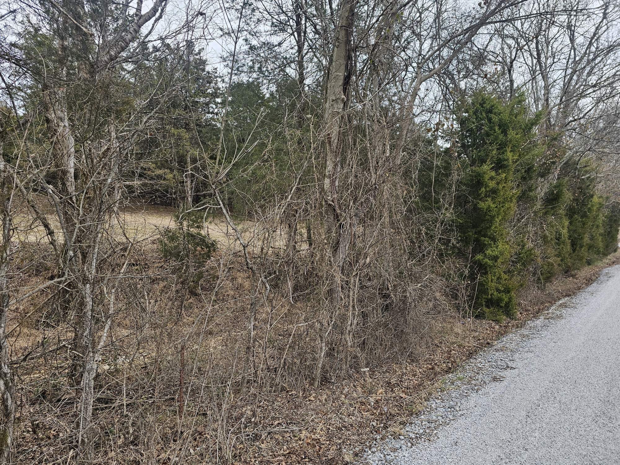 1 Love Branch Rd  Tract 1, Hampshire, TN  38461