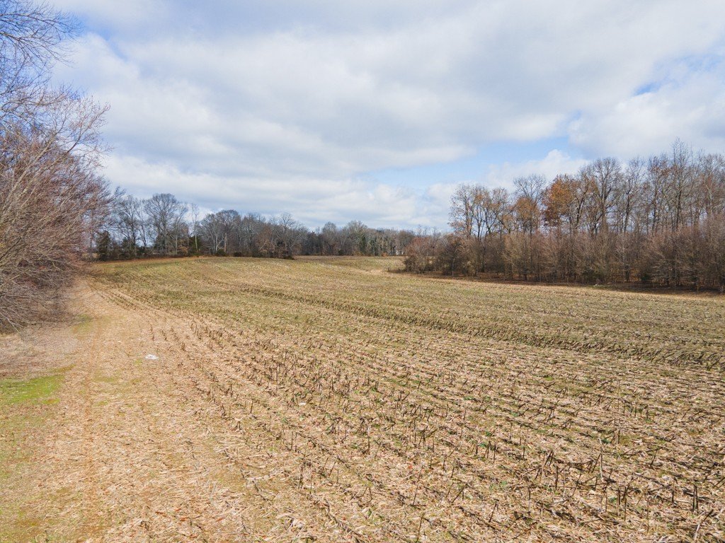 Old Alto Road, Decherd, TN  37324