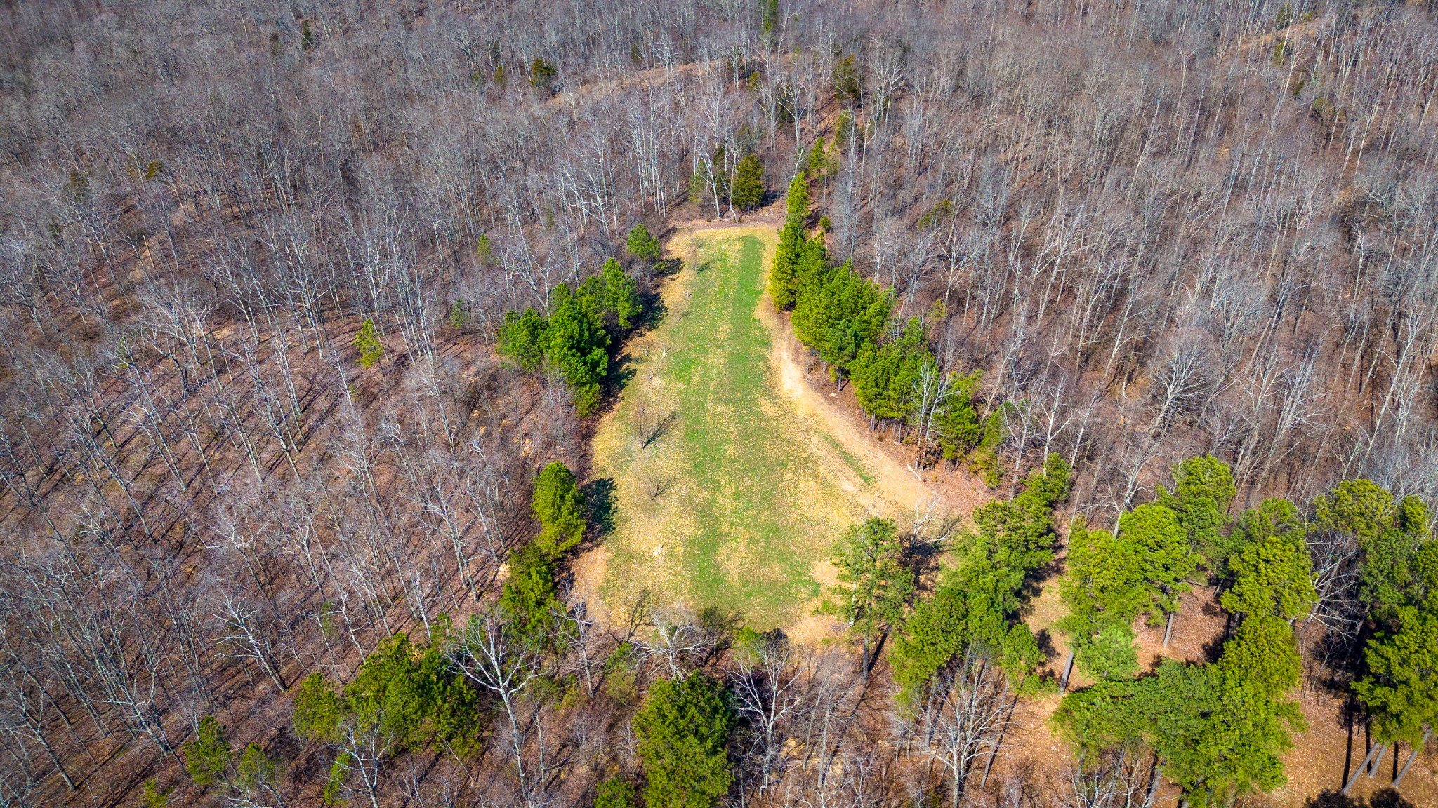 Ledbetter Hollow Rd, Linden, TN  37096