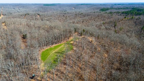 Ledbetter Hollow Rd, Linden, TN  37096