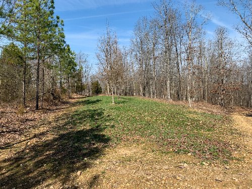 Ledbetter Hollow Rd, Linden, TN  37096