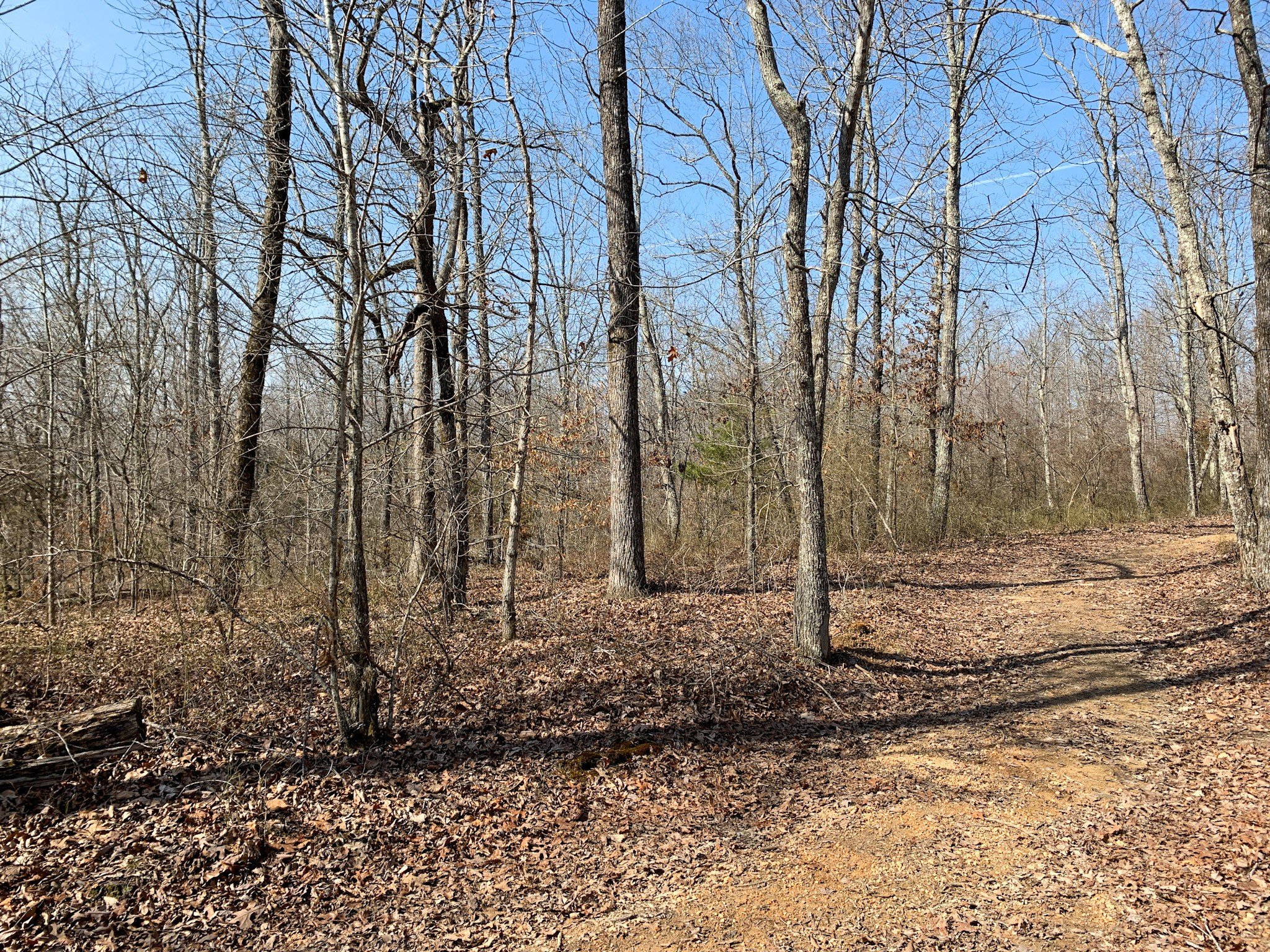 Ledbetter Hollow Rd, Linden, TN  37096