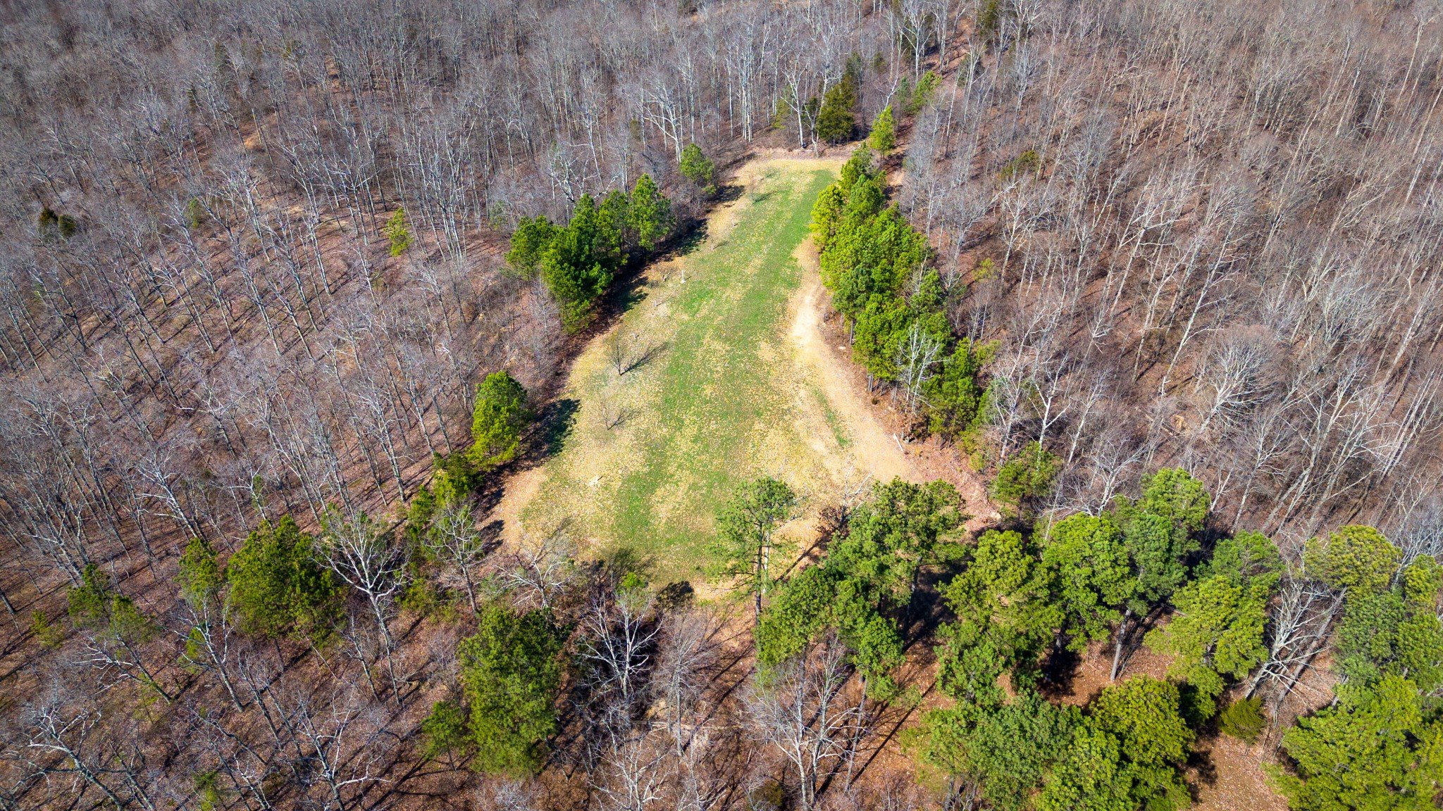 Ledbetter Hollow Rd, Linden, TN  37096