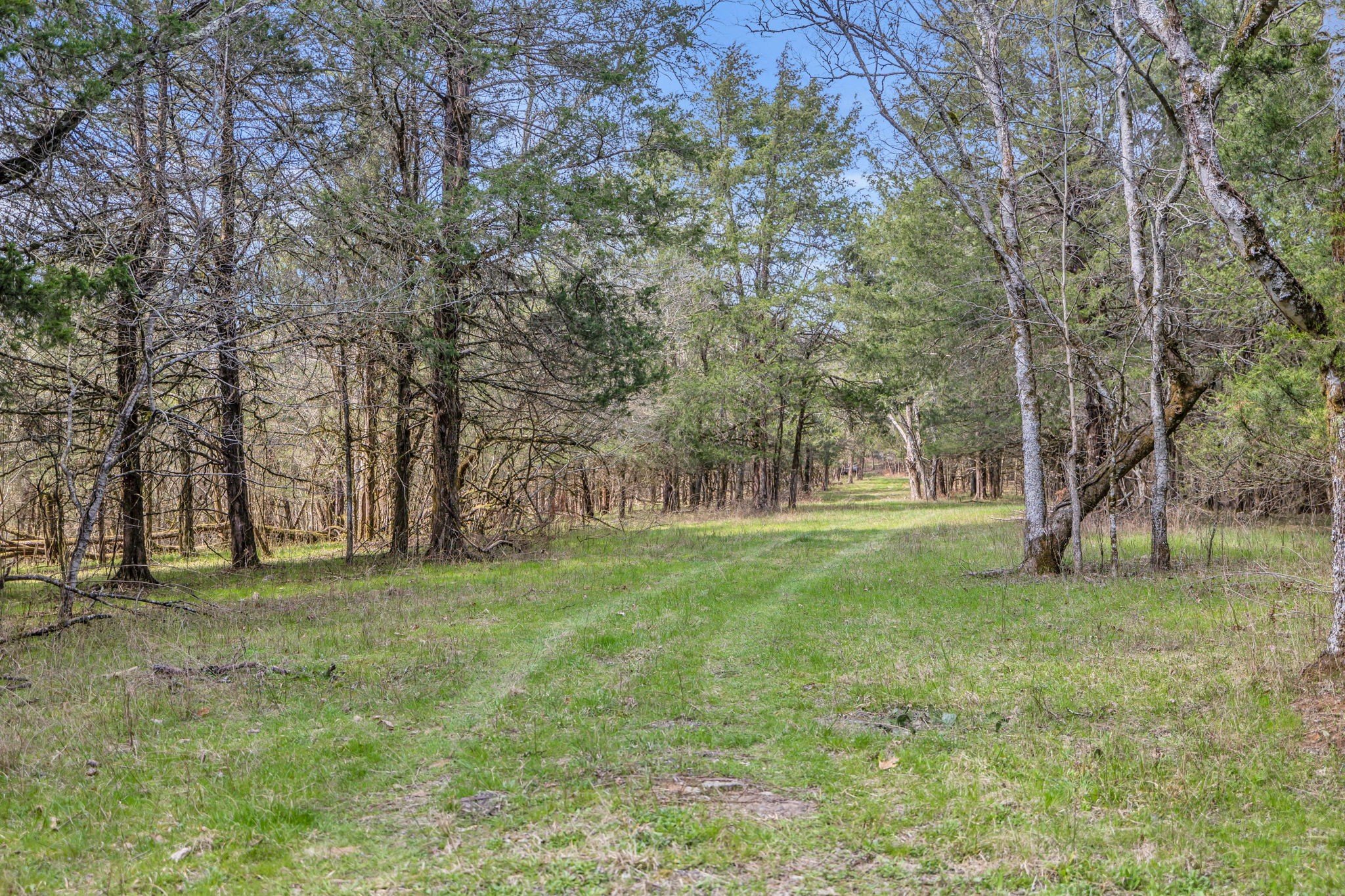 L&N Railroad, Frankewing, TN  38459