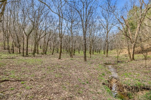 L&N Railroad, Frankewing, TN  38459