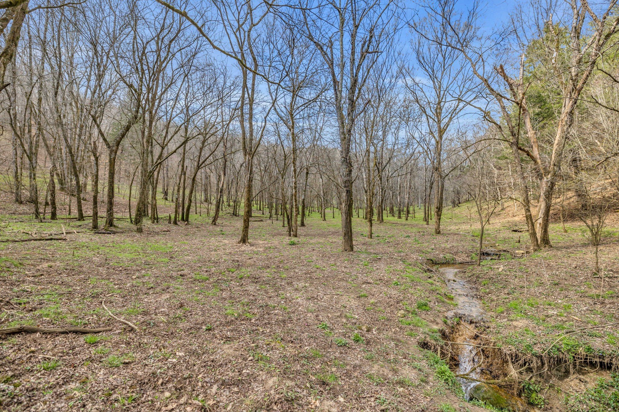 L&N Railroad, Frankewing, TN  38459