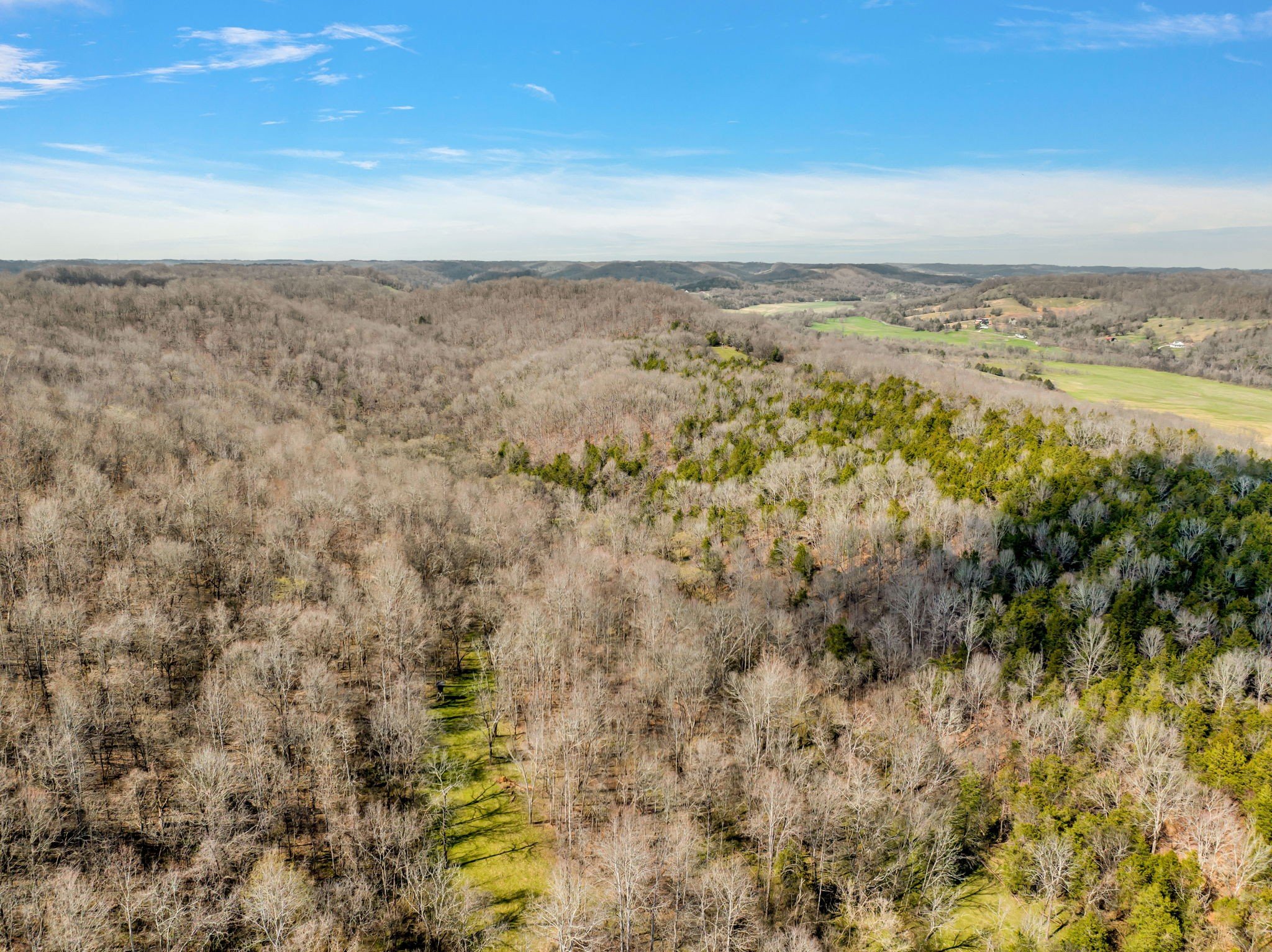 L&N Railroad, Frankewing, TN  38459