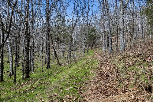 L&N Railroad, Frankewing, TN  38459