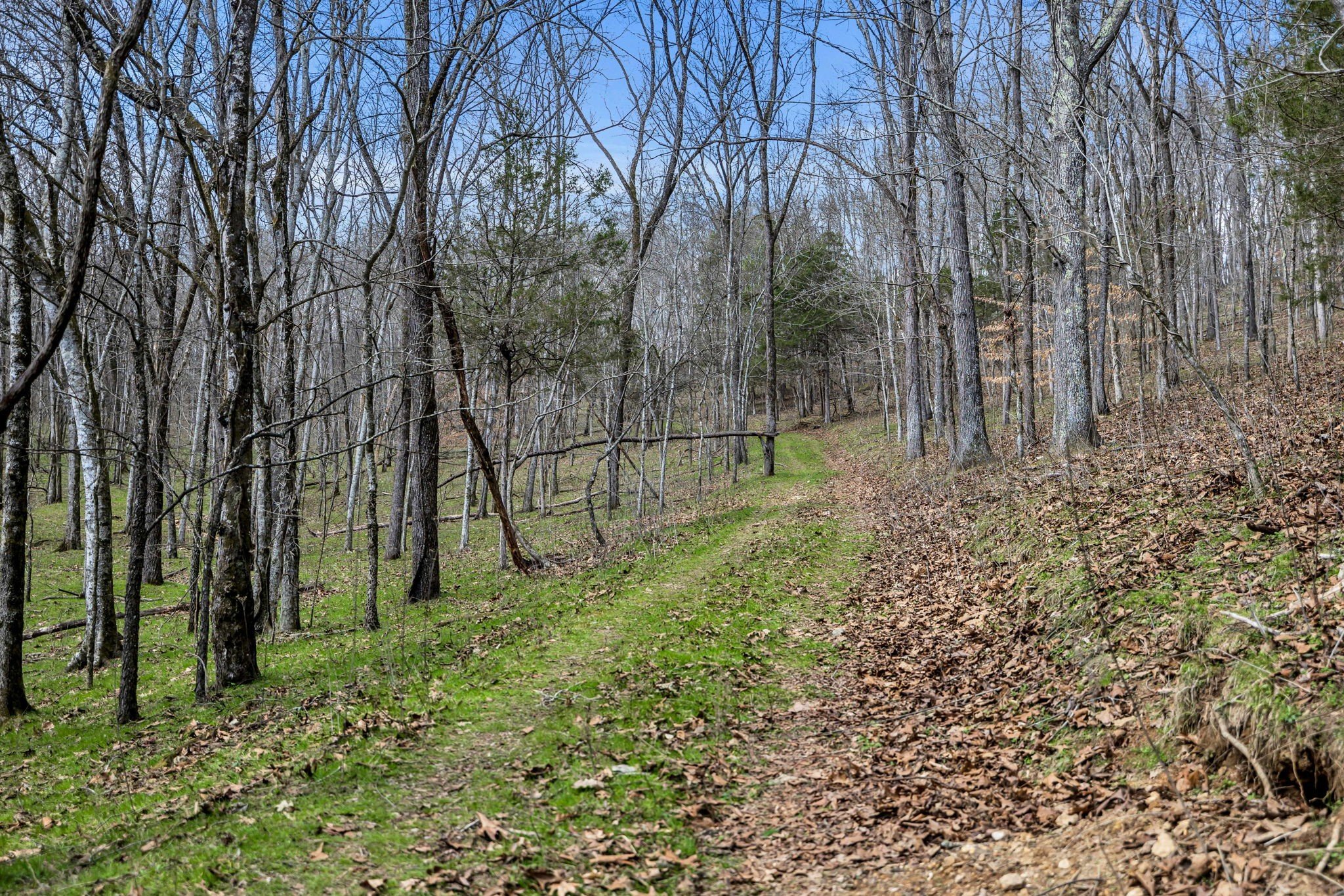 L&N Railroad, Frankewing, TN  38459