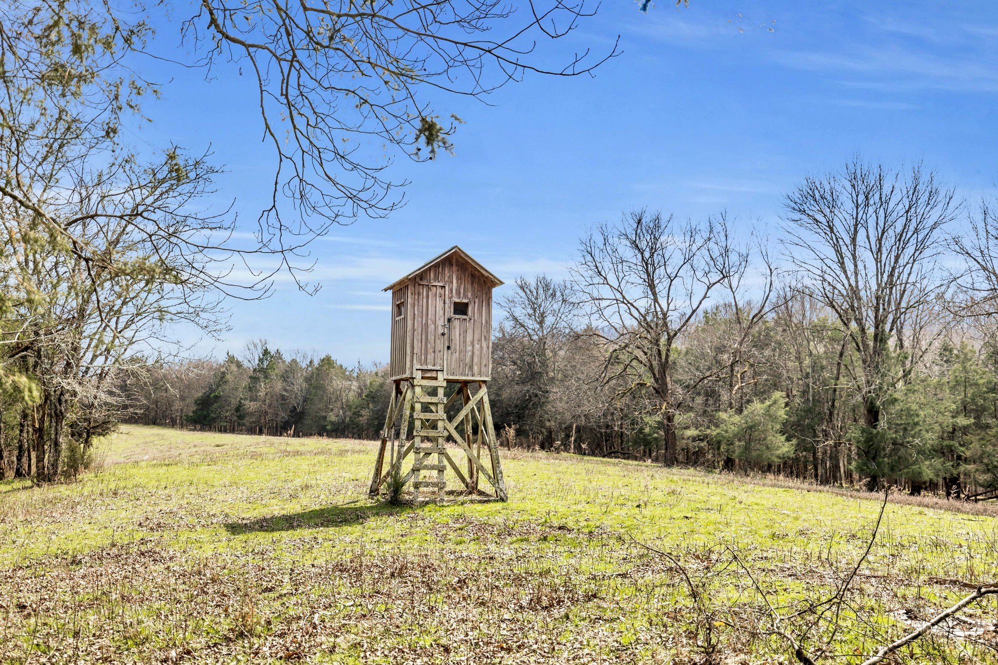 L&N Railroad, Frankewing, TN  38459