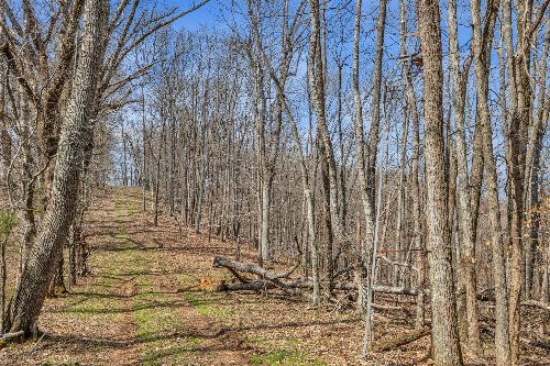 L&N Railroad, Frankewing, TN  38459