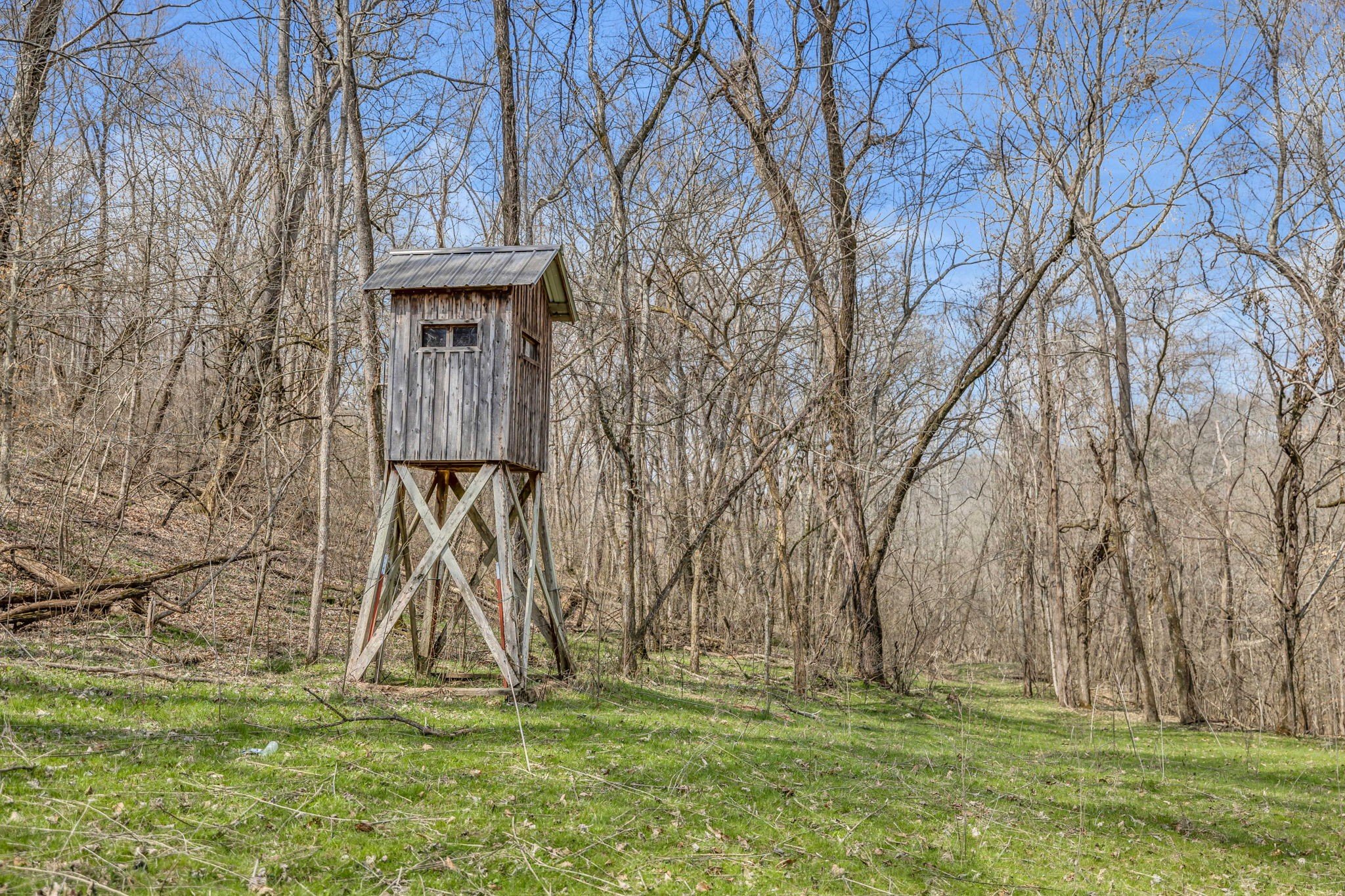 L&N Railroad, Frankewing, TN  38459