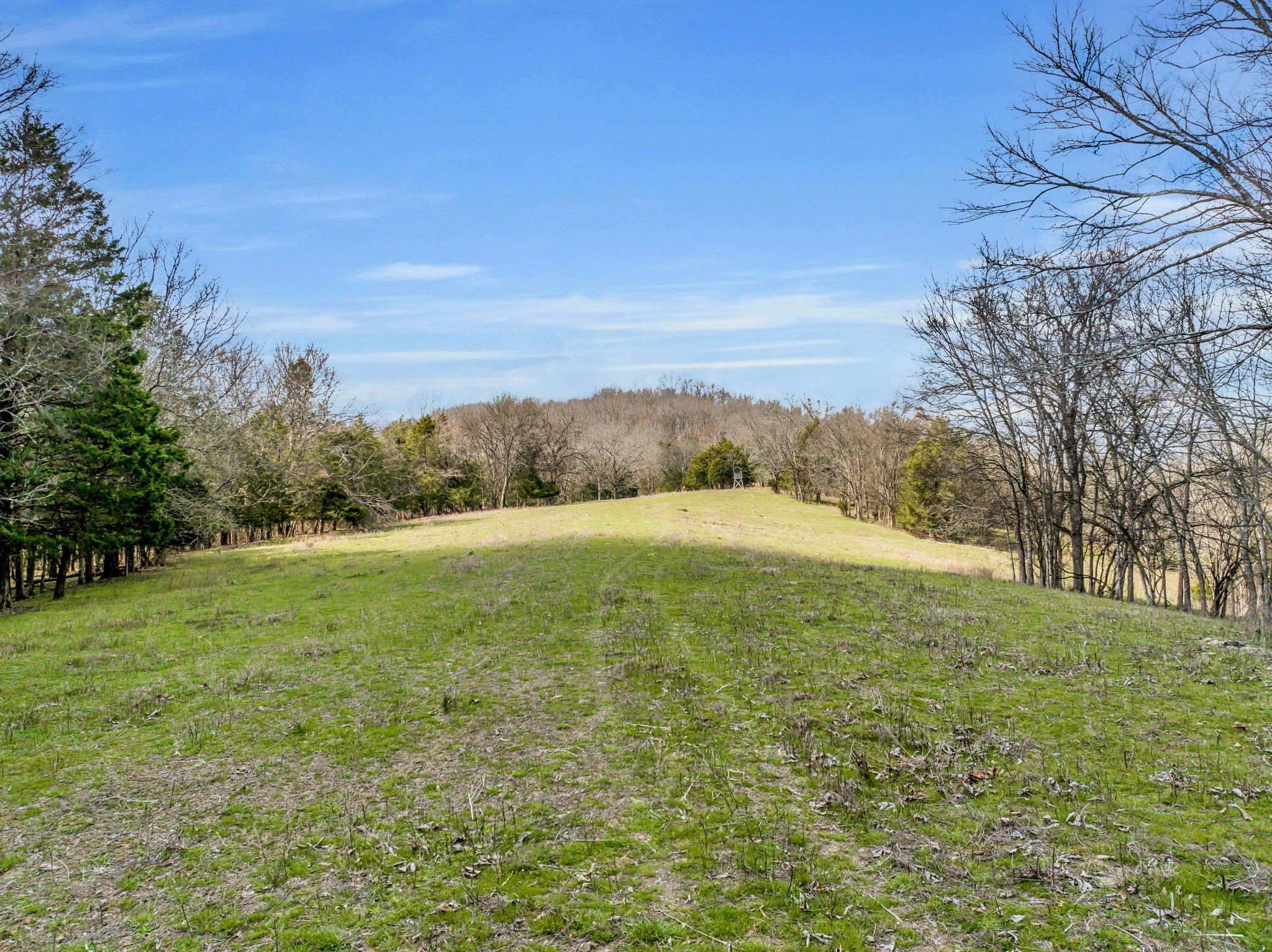 L&N Railroad, Frankewing, TN  38459