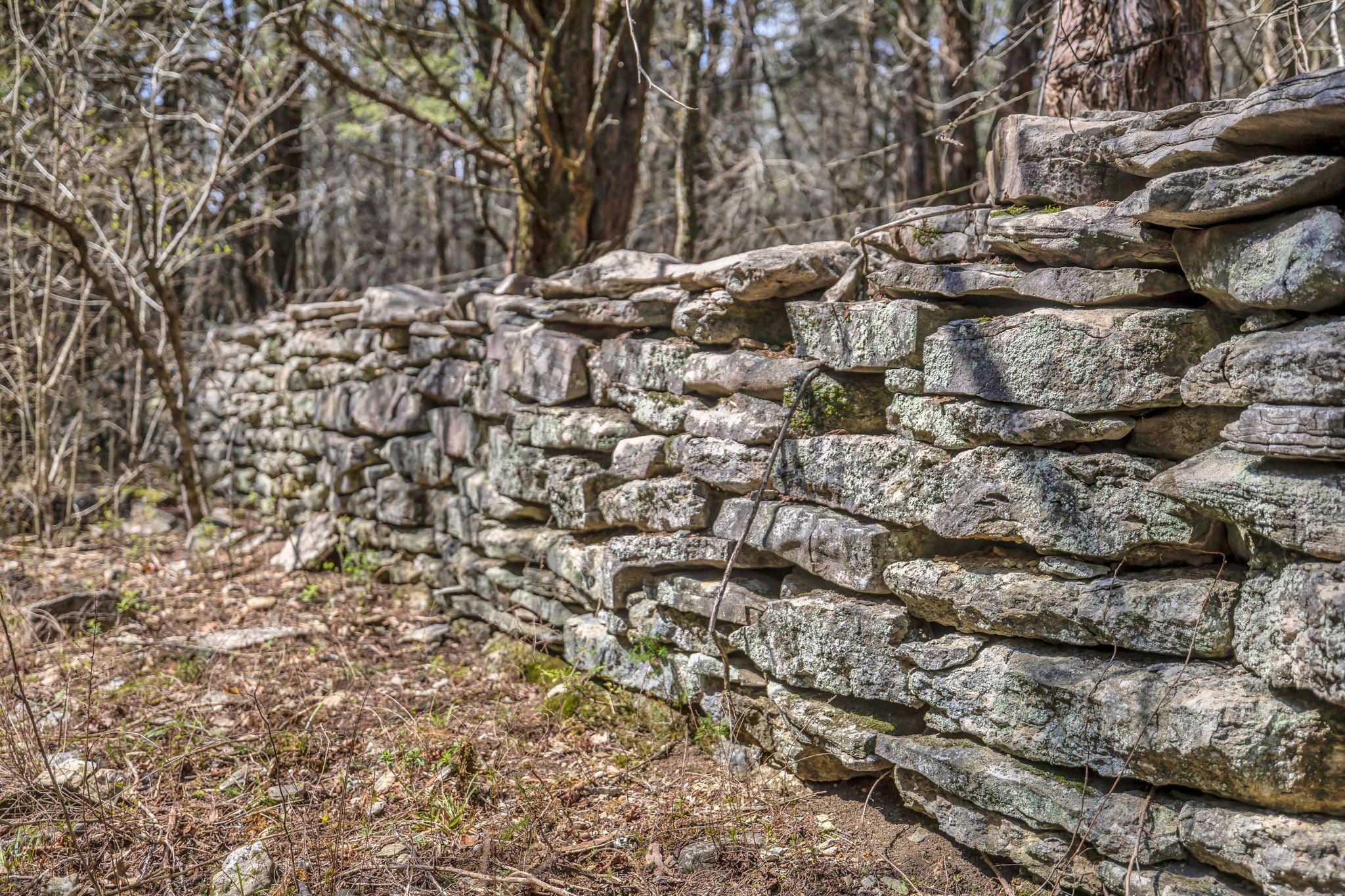 L&N Railroad, Frankewing, TN  38459