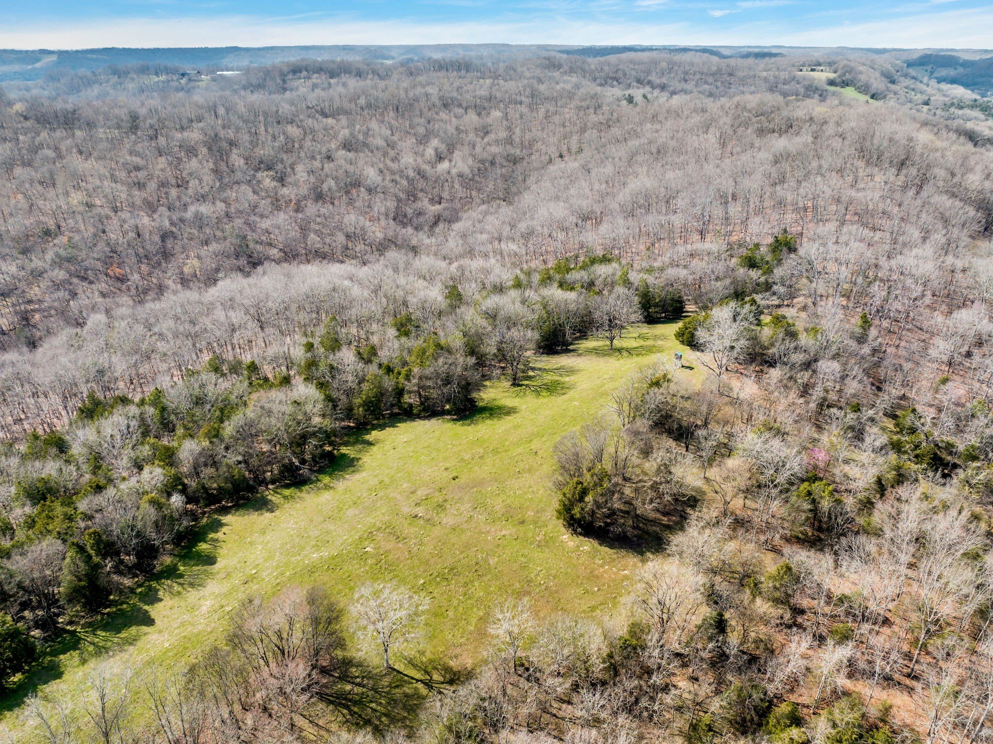 L&N Railroad, Frankewing, TN  38459