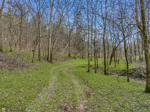 L&N Railroad, Frankewing, TN  38459