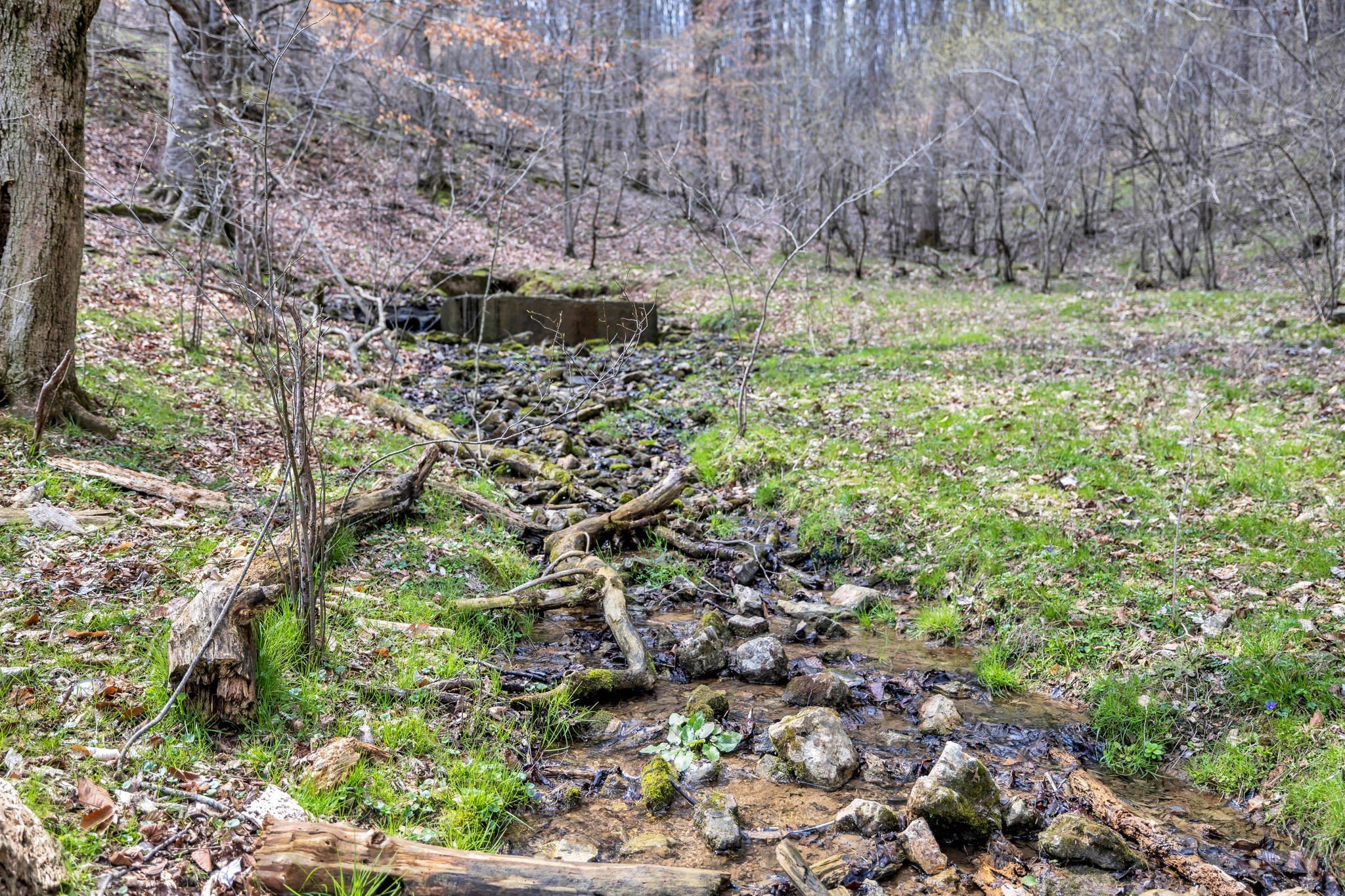 L&N Railroad, Frankewing, TN  38459