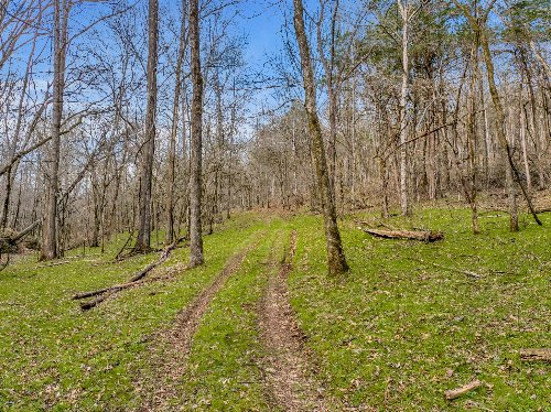 L&N Railroad, Frankewing, TN  38459