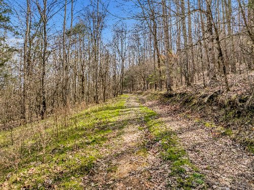 L&N Railroad, Frankewing, TN  38459